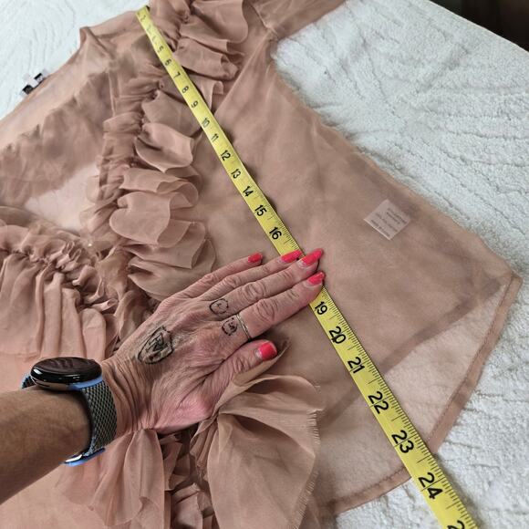 Fashion Nova Sweet Temptations Sheer Ruffle Balloon sleeve 90s Top Medium Rose - Picture 11 of 17